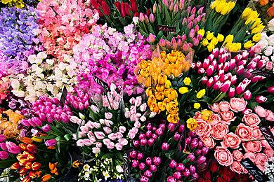 全新解压清理模拟器游戏《怪兽清理模拟器（Kaiju Cleanup）》于东京电玩展正式公布